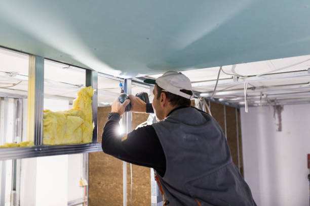 Best Commercial Insulation in Jonesville, MI