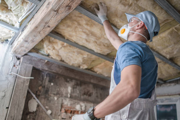 Best Insulation for Specific Applications in Jonesville, MI